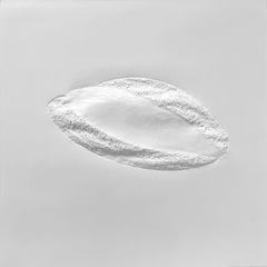 Weißes Blatt
